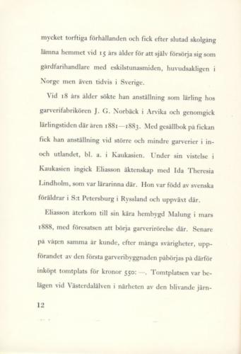 Eliasson 11