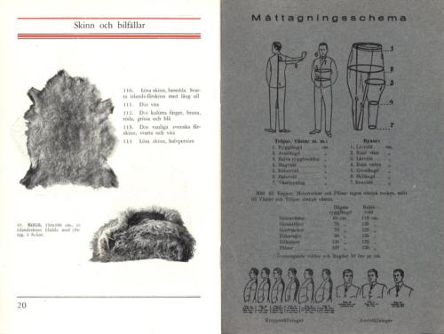 Svensk skinnindustri 12